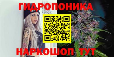 соль курить ск Заводоуковск