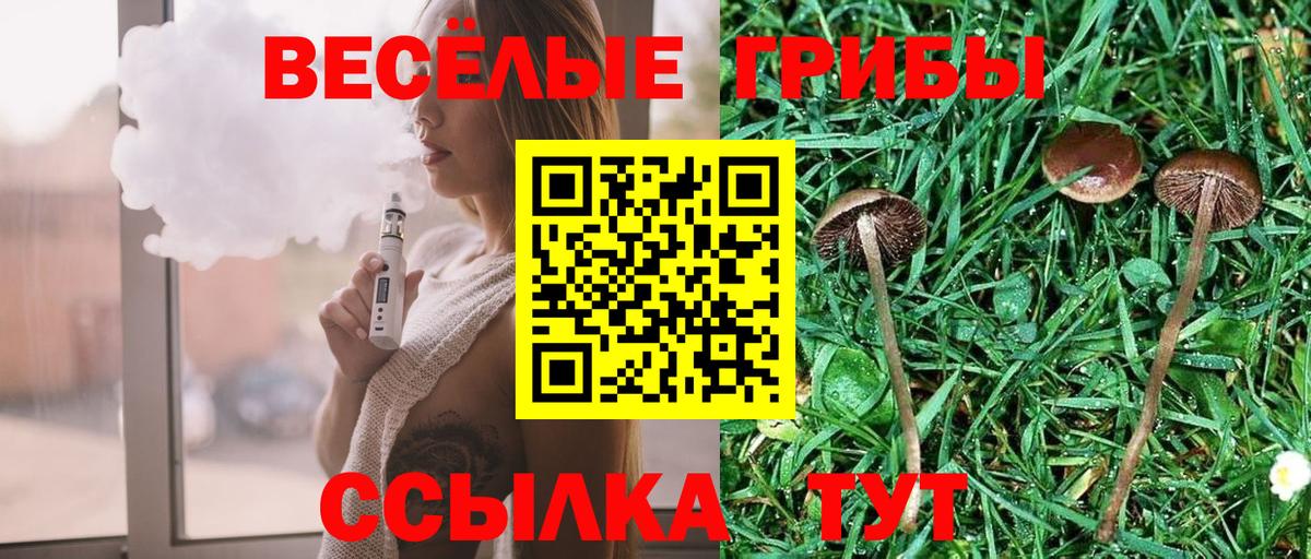 Волхов  Псилоцибиновые грибы Cubensis  Псилоцибиновые грибы GOLDEN TEACHER  Вход с VPN 