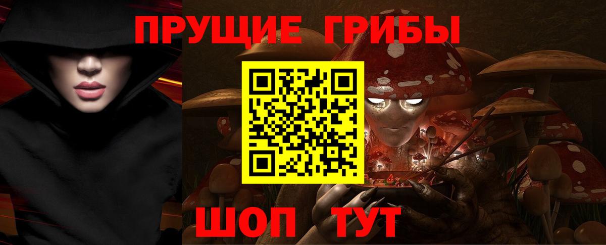 Псилоцибиновые грибы Cubensis Волхов